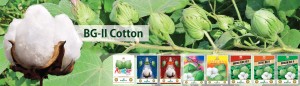 1 - Cotton